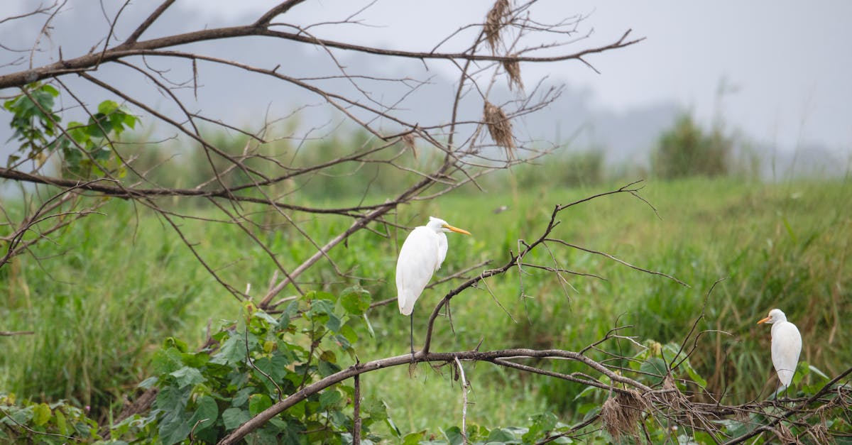 erreichen sie finanziellen frieden mit unserer anleitung zur schuldenfreiheit. lernen sie effektive strategien und tipps, um ihre schulden abzubauen und ein schuldenfreies leben zu führen.