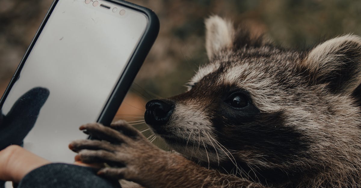 entdecken sie die neuesten trends und erkenntnisse im digitalen verhalten. erfahren sie, wie nutzer online interagieren, kommunizieren und beeinflusst werden. optimieren sie ihre digitale strategie durch umfassende analysen und forschung zu den verhaltensmustern im internet.