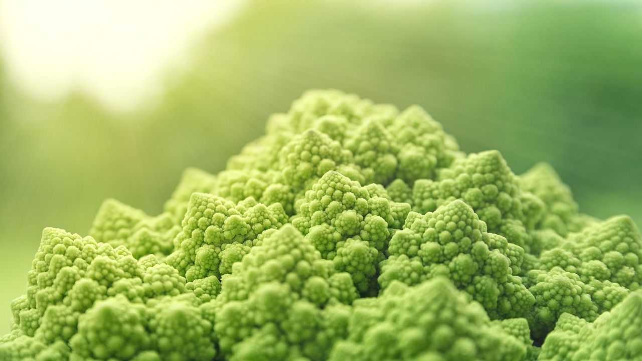 entdecken sie köstliche vegane rezepte, die nicht nur gesund sind, sondern auch einfach zuzubereiten. von kreativen vorspeisen bis hin zu abwechslungsreichen hauptgerichten und verführerischen desserts – lassen sie sich inspirieren, die pflanzliche küche neu zu entdecken!