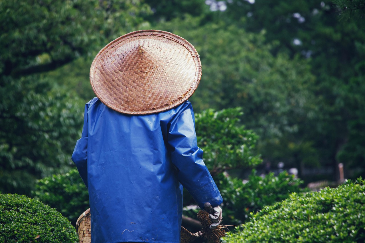 entdecken sie die freude am gärtnern! tipps und tricks für den anbau von pflanzen, pflege ihrer gartenanlagen und die schaffung einer blühenden oase in ihrem zuhause.