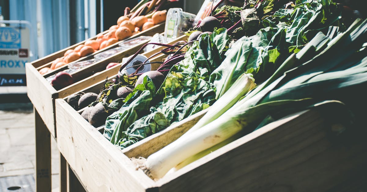 entdecken sie die vorteile von bio-lebensmitteln: gesund, nachhaltig und voller geschmack. erfahren sie mehr über unsere hochwertigen produkte und fördern sie eine natürliche ernährung für ein besseres leben.