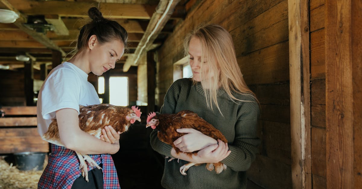 erfahren sie, wie sie selbstversorgung erreichen können - von der gartenarbeit bis zur nachhaltigen lebensweise. entdecken sie tipps und ressourcen für ein autarkes leben.