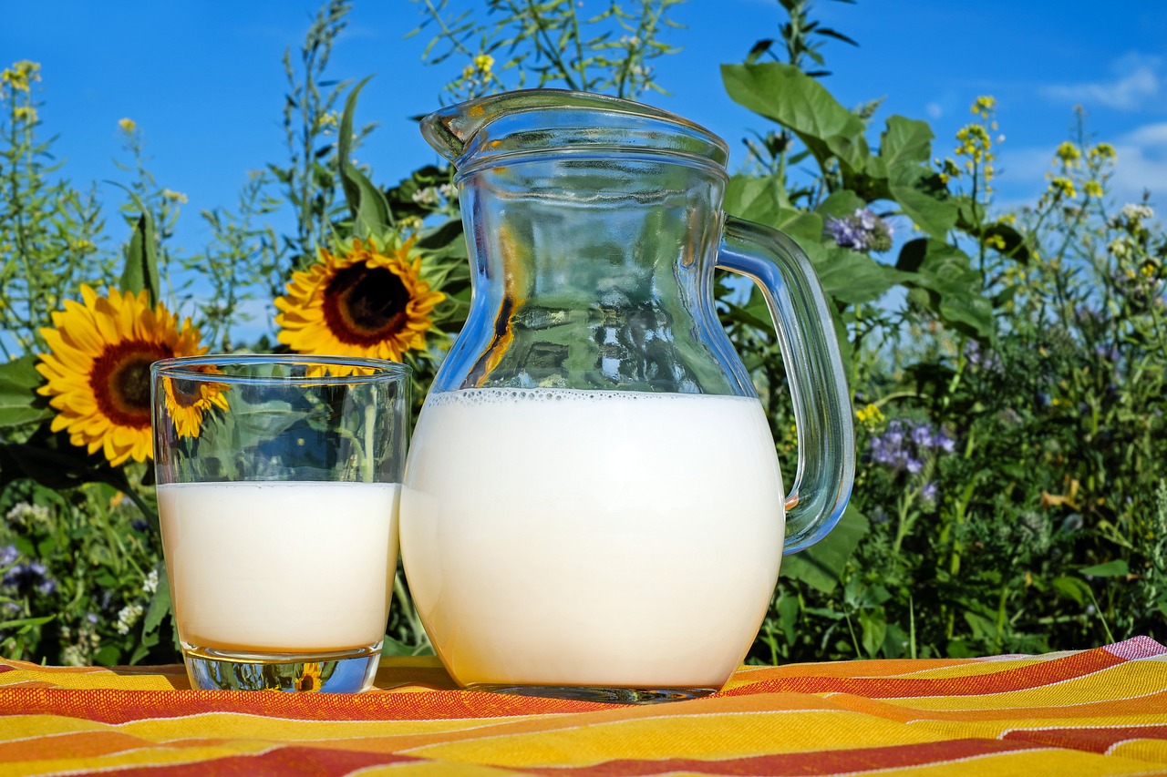 entdecken sie eine vielzahl gesunder getränke, die ihre gesundheit fördern und erfrischen. von nährstoffreichen smoothies bis hin zu belebenden tees – unsere auswahl bietet köstliche und nahrhafte optionen für jeden tag.