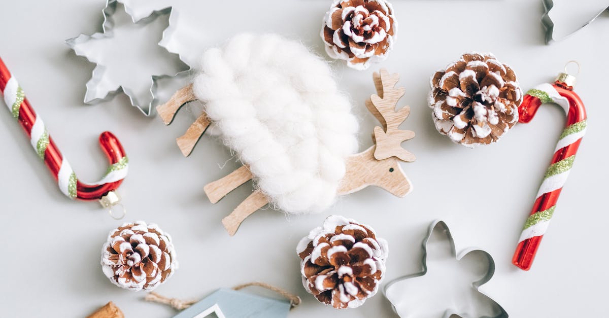 entdecken sie kreative diy-projekte, die spaß machen und ihre handwerklichen fähigkeiten erweitern. von einfachen bastelideen bis hin zu anspruchsvolleren anleitungen - finden sie inspiration für ihr nächstes projekt!