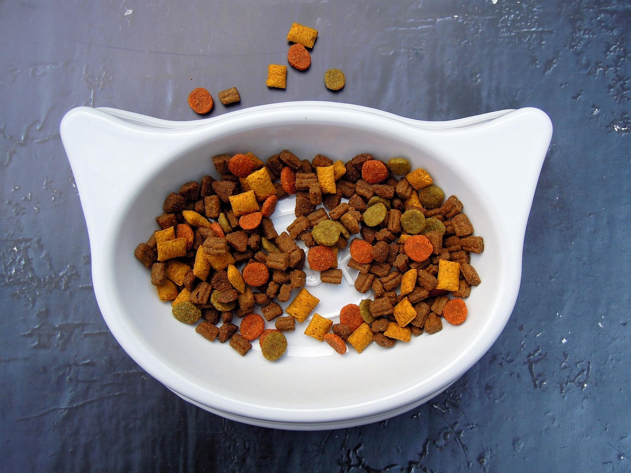 entdecken sie unser hochwertiges hundefutter und katzenfutter, das speziell entwickelt wurde, um das wohlbefinden und die gesundheit ihrer haustiere zu fördern. große auswahl, beste zutaten und leckere rezepturen für glückliche tiere!