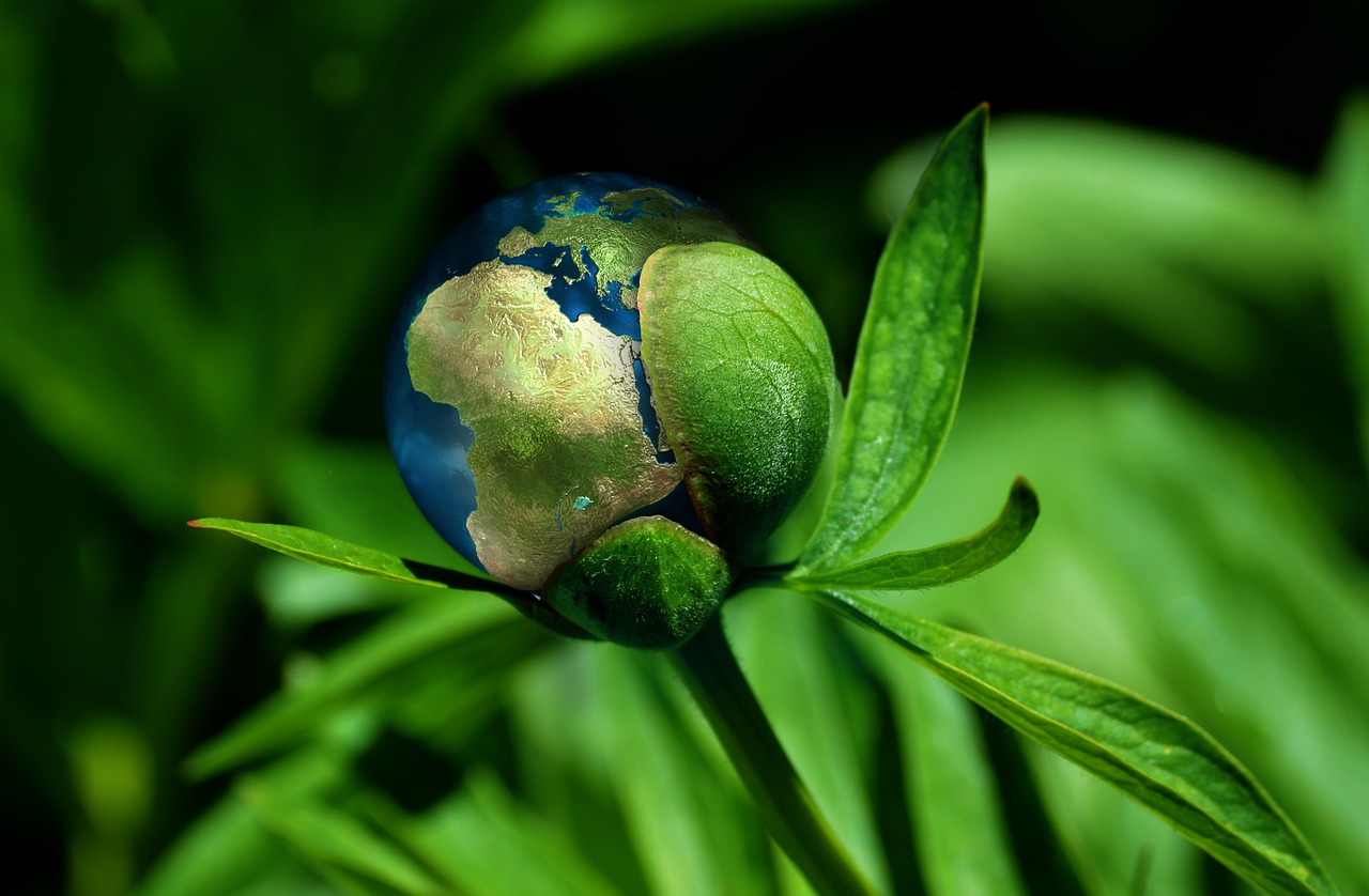 entdecken sie die bedeutung der nachhaltigkeit und wie sie unser leben und die umwelt beeinflusst. erfahren sie mehr über umweltfreundliche praktiken und strategien für eine nachhaltige zukunft.