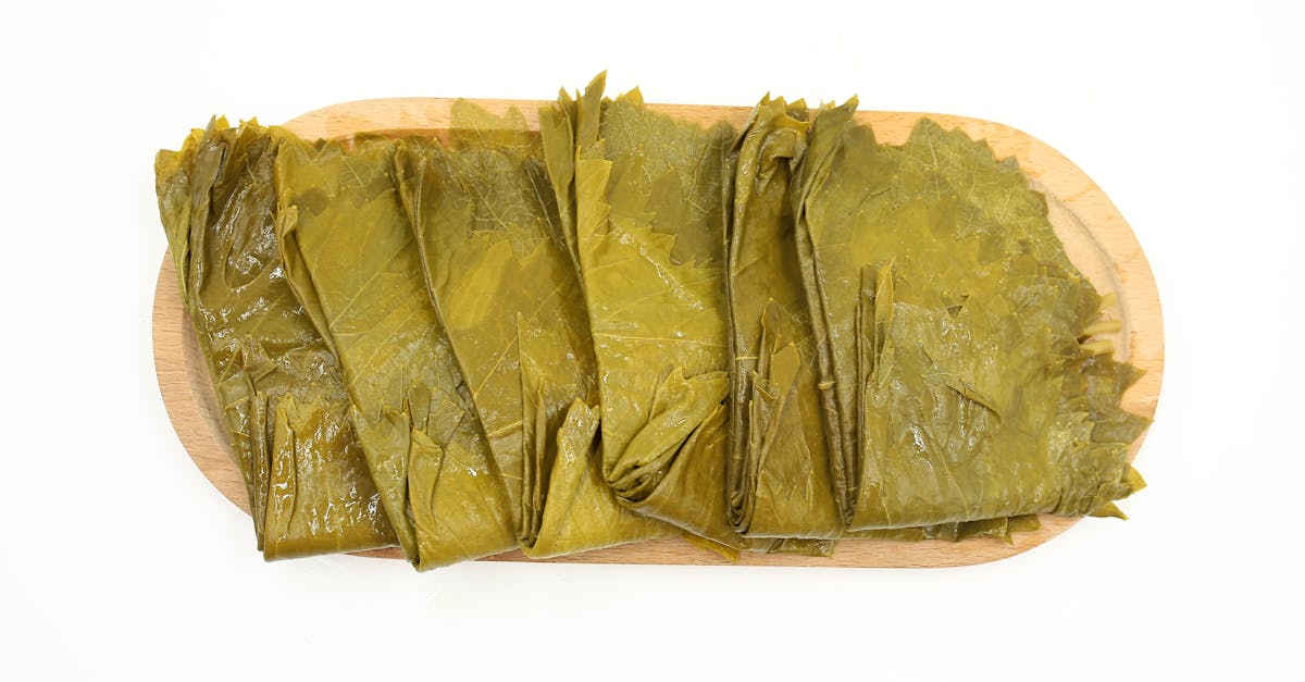 entdecken sie eine vielzahl köstlicher vegetarischer rezepte, die einfach zuzubereiten sind. von herzhaften gerichten bis zu gesunden snacks, finden sie ideen für jeden anlass und genuss ohne fleisch.