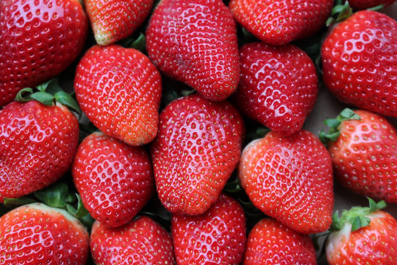 entdecken sie die vorteile einer gesunden ernährung mit köstlichen rezepten, ernährungstipps und hilfreichen ratschlägen für ein besseres wohlbefinden.