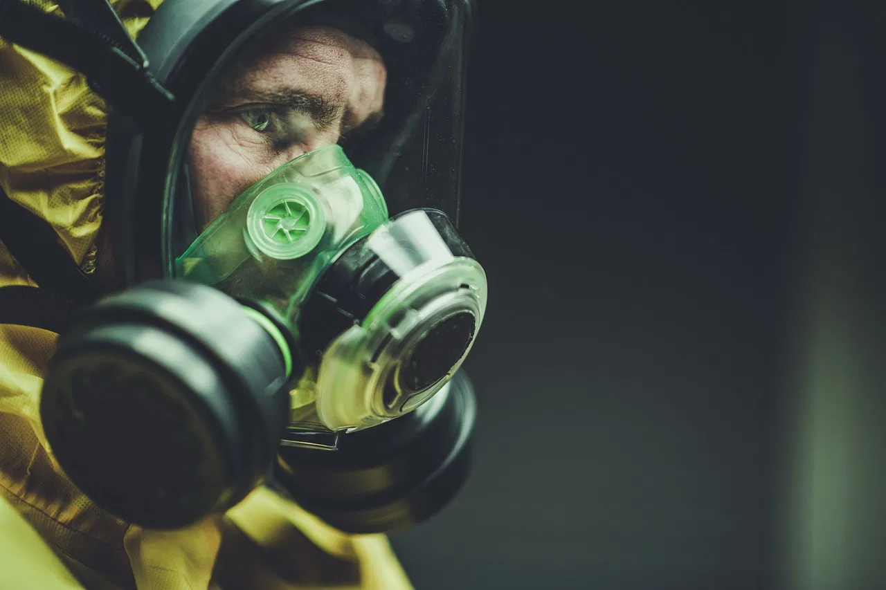 Haustiersicherheit: 5 Tipps für ein sicheres Zuhause für Ihre pelzigen Freunde