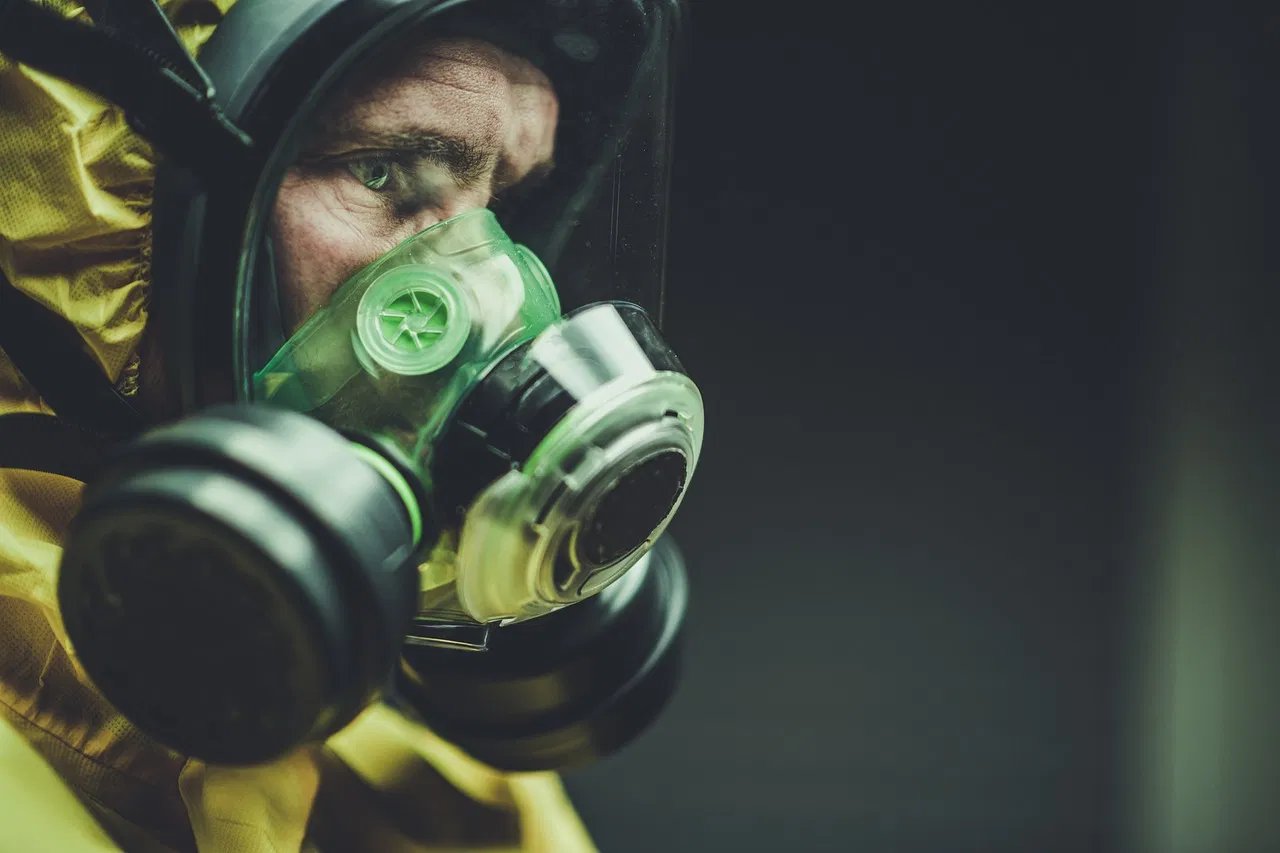 Haustiersicherheit: 5 Tipps für ein sicheres Zuhause für Ihre pelzigen Freunde