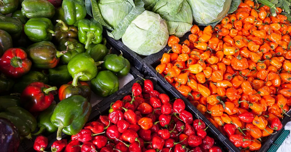 Naturkost: Die Vorteile von biologischen Lebensmitteln für Ihre Gesundheit