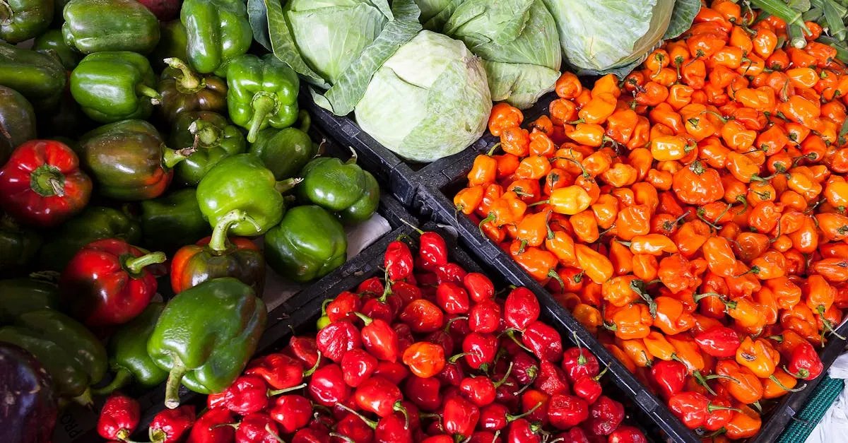 Naturkost: Die Vorteile von biologischen Lebensmitteln für Ihre Gesundheit