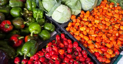 Naturkost: Die Vorteile von biologischen Lebensmitteln für Ihre Gesundheit