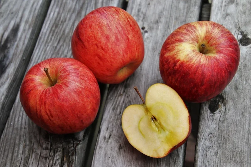 Ernährungsrichtlinien: Wichtige Tipps für eine ausgewogene Ernährung