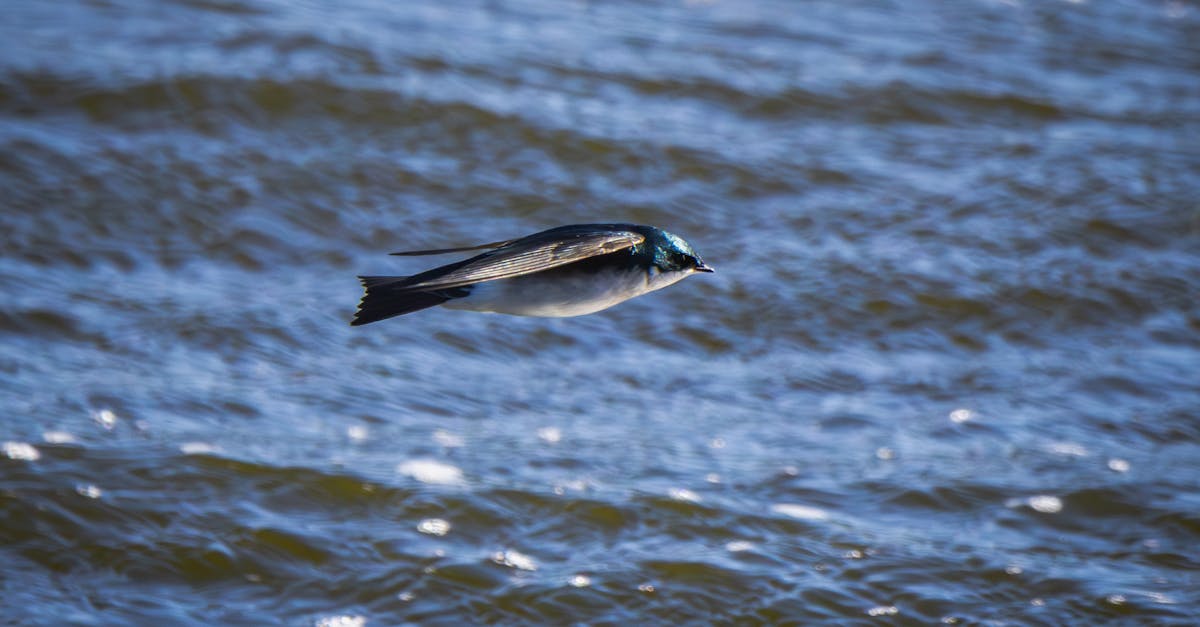 Wie man Schuldenfreiheit erreicht und dauerhaft bleibt