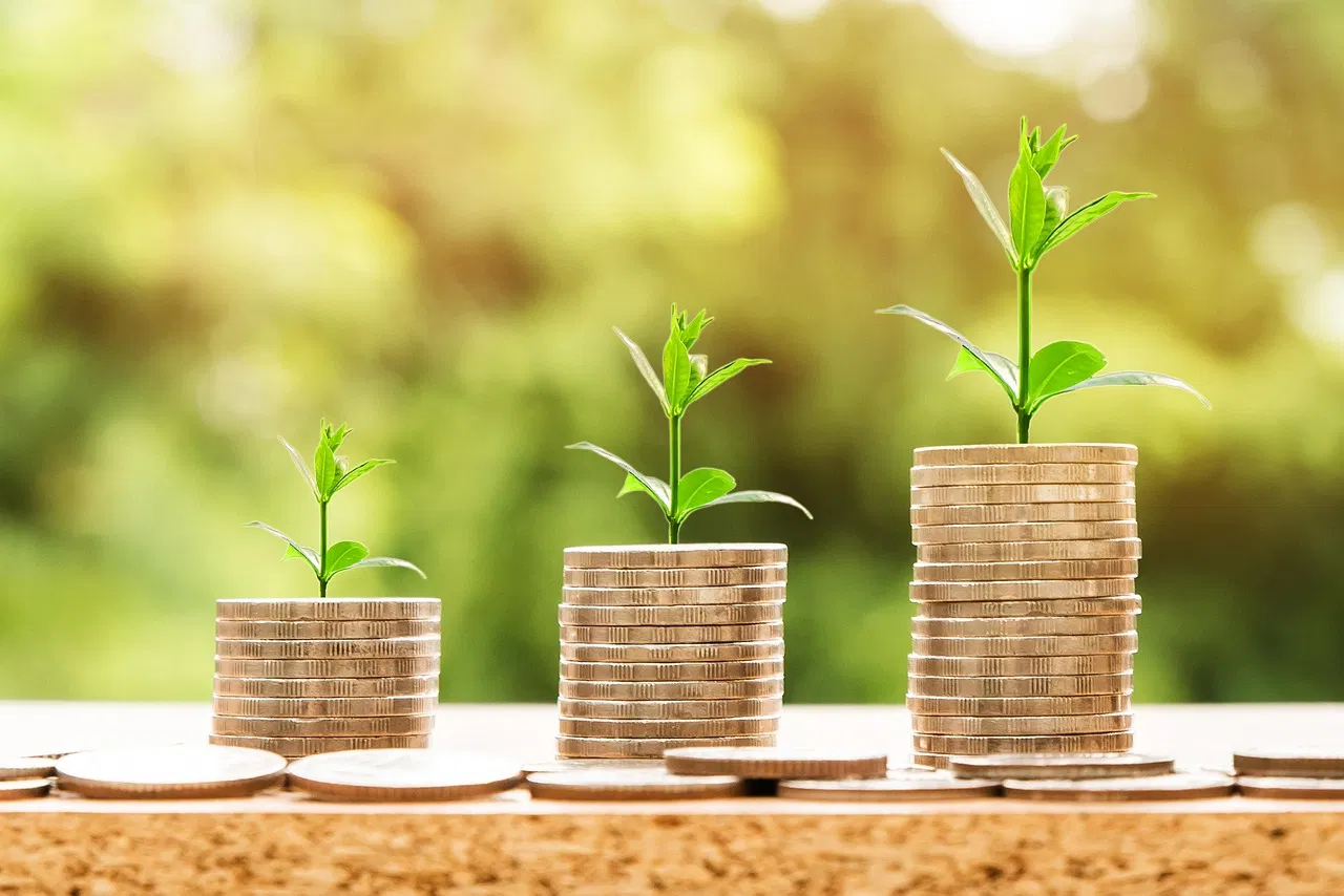Finanzielle Bildung: Die Grundlagen für einen sicheren Umgang mit Geld