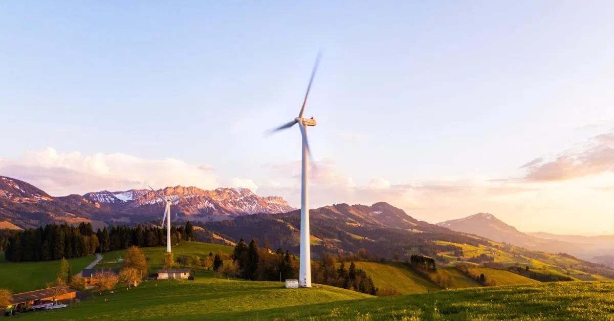Nachhaltigkeit in der modernen Welt: Herausforderungen und Lösungen