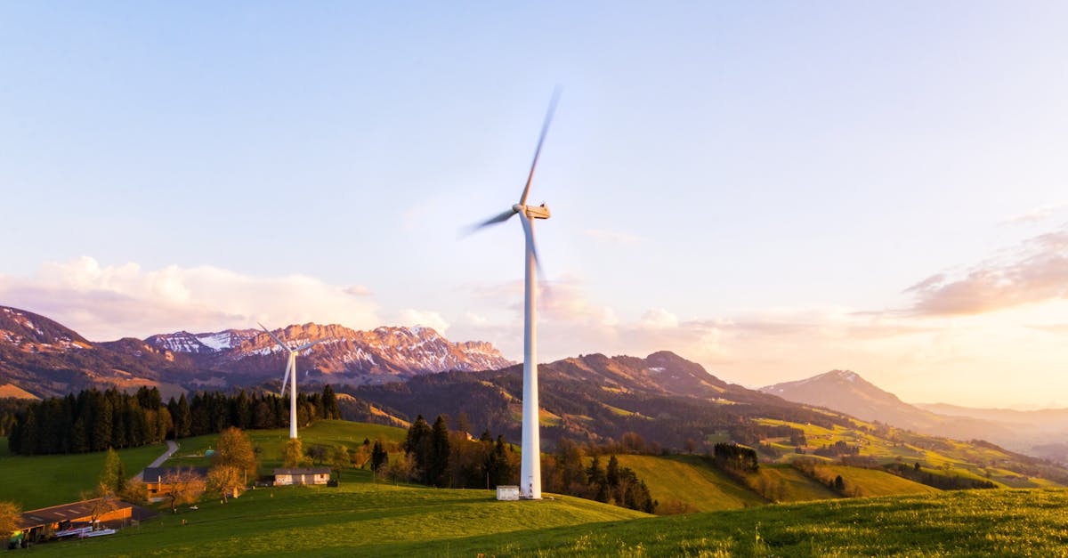 Nachhaltigkeit in der modernen Welt: Herausforderungen und Lösungen