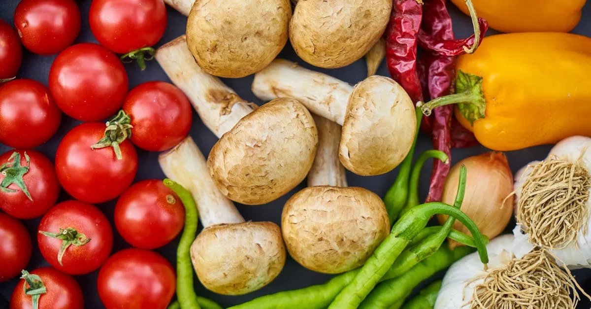 Ernährungsberatung: Tipps für eine gesunde Ernährung