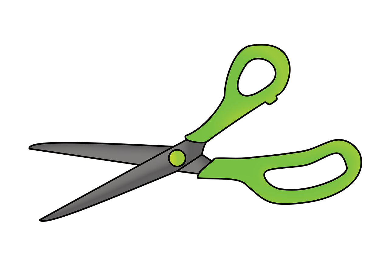 Tierzubehör: Die besten Tipps für die Auswahl von hochwertigem Haustierbedarf