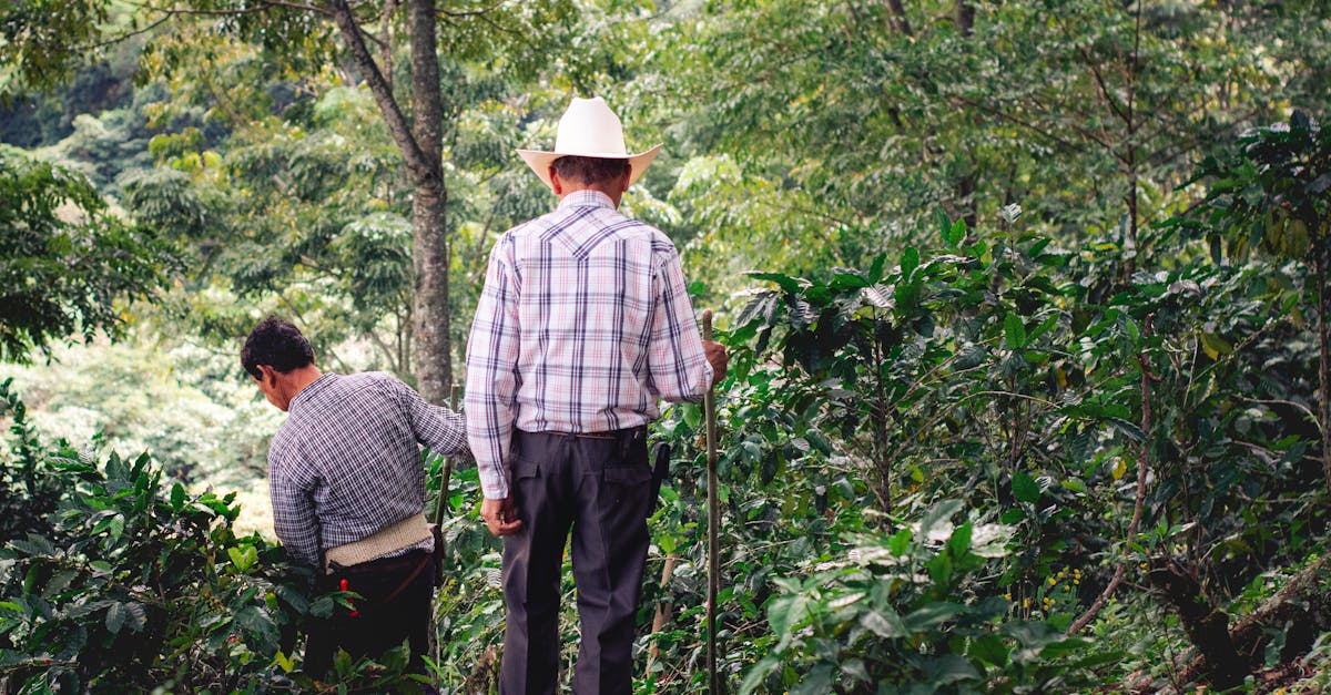 einfache tricks für einen nachhaltigen lifestyle