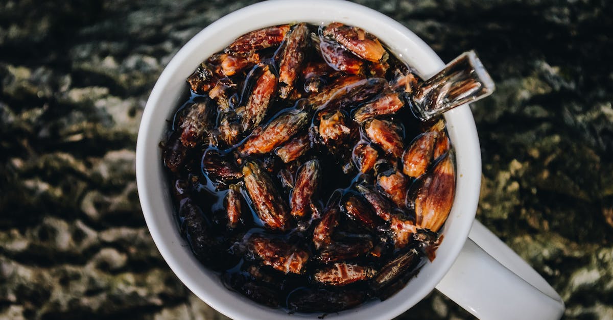 Ethischer Konsum: Wie wir nachhaltige Entscheidungen treffen können