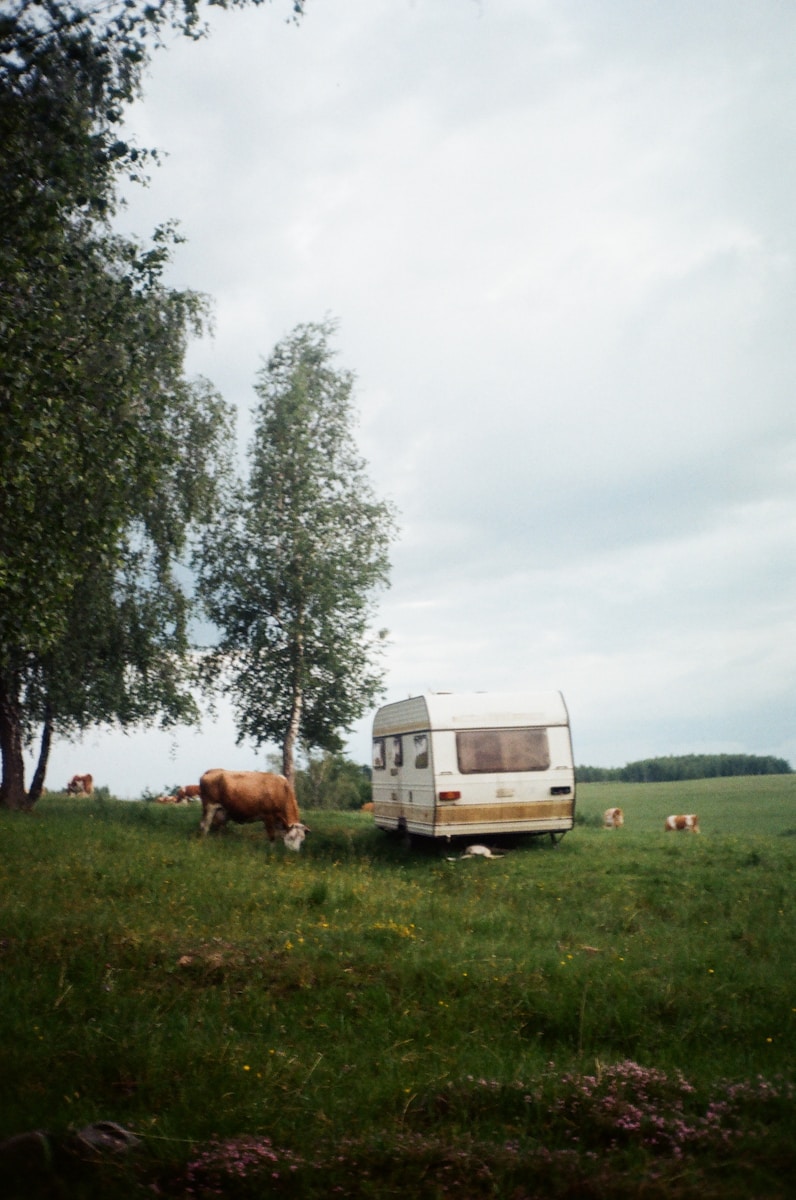 Campingplatz Trüffières: Ein naturnaher Urlaub in der Provence