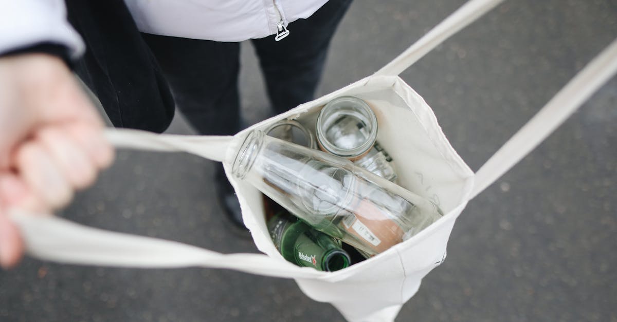 erfahren sie, wie nachhaltigkeit unsere umwelt sch&uuml;tzt und eine bessere zukunft f&uuml;r kommende generationen sichert. entdecken sie tipps und strategien f&uuml;r ein nachhaltiges leben.