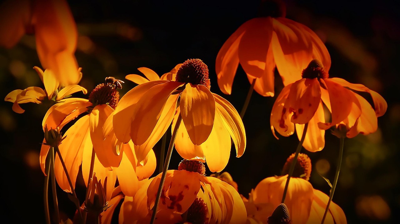 entdecken sie die welt des gärtnerns mit hilfreichen tipps, anleitungen und inspirierenden ideen für ihren garten. erfahren sie, wie sie ihre pflanzen optimal pflegen und eine blühende gartenlandschaft gestalten können.