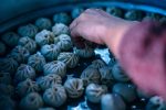 entdecken sie die welt des kochens! von einfachen rezepten bis hin zu kulinarischen meisterwerken – verbessern sie ihre kochkünste mit unseren tipps, techniken und inspirierenden ideen für jedes gericht.