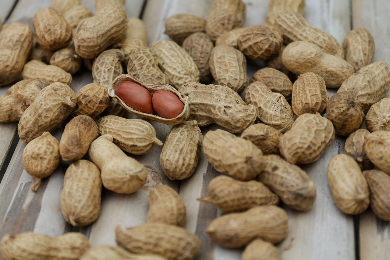 entdecken sie die zukunft der ernährung mit digitalen lösungen. optimieren sie ihre essgewohnheiten, verfolgen sie ihre nahrungsaufnahme und genießen sie gesundes leben durch innovative technologien und personalisierte ernährungspläne.