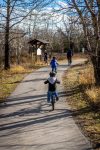 entdecken sie spannende familienaktivitäten, die spaß und abenteuer für groß und klein bieten. von outdoor-erlebnissen bis zu kreativen projekten – finden sie die perfekten aktivitäten für gemeinsame momente!
