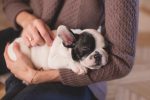 entdecken sie umfassende tipps zur haustierpflege, um das wohlbefinden ihrer pelzigen freunde zu gewährleisten. von ernährungsratschlägen bis zu gesundheitsvorsorge – alles für ein glückliches tierleben.