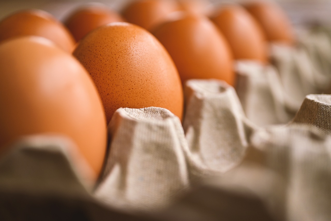 entdecken sie die aufregende welt der kochshows! lassen sie sich von talentierten köchen inspirieren und lernen sie neue rezepte und techniken, die ihre kochkünste auf ein neues niveau heben.