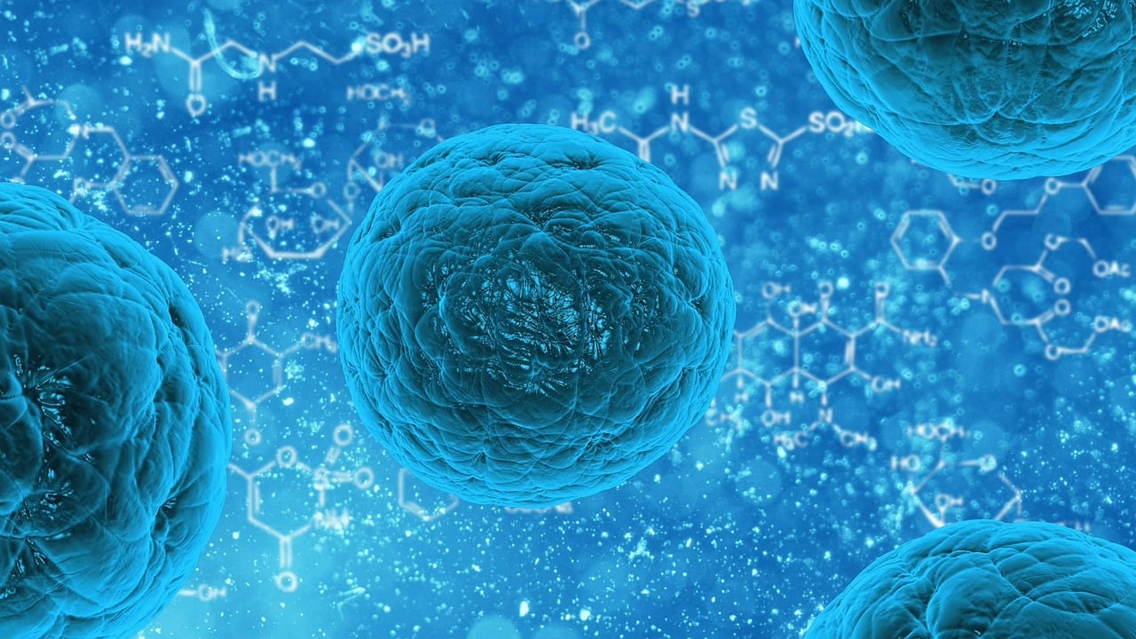 entdecken sie die neuesten trends im gesundheitswesen: innovative technologien, qualitativ hochwertige pflege und strategien zur verbesserung des wohlbefindens. erfahren sie mehr über die zukunft der medizinischen versorgung.