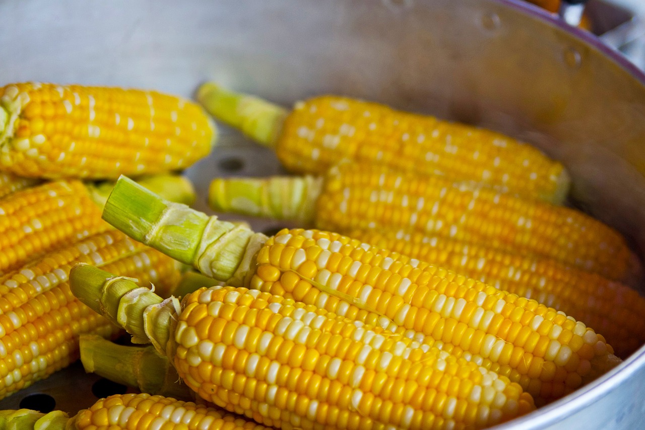 entdecken sie die grundlagen einer ausgewogenen ernährung! erfahren sie, wie sie mit gesunden lebensmitteln ihre vitalität steigern und ihr wohlbefinden verbessern können. tipps, rezepte und informationen zur optimalen nährstoffaufnahme erwarten sie.