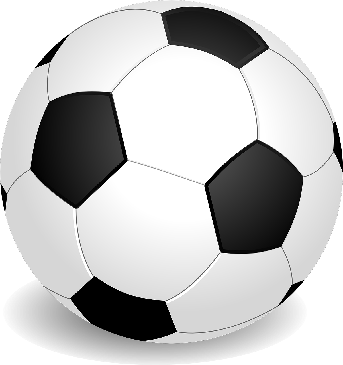 entdecken sie die aufregende welt der sportmeisterschaften! von fußball über basketball bis hin zu leichtathletik erfahren sie alles über die neuesten turniere, spielergebnisse und entwicklungen in den besten sportarten.